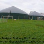 Dairy Farmers Consider Selling Herds and Going for Biogas Production Dairy-Farmers-Consider-Selling-Herds-and-Going-for-Biogas