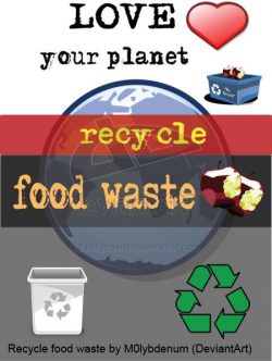 Featured image for WRAP defends anaerobic digestion of food waste article.