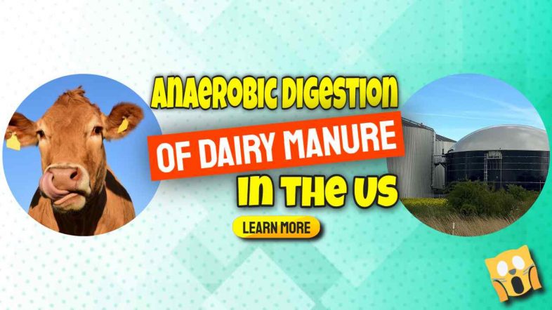 Image text: "Anaerobic Digestion of US Dairy manure".