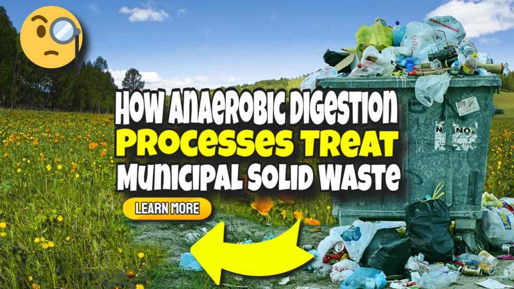 How Anaerobic Digestion Processes Treat Municipal Solid Waste