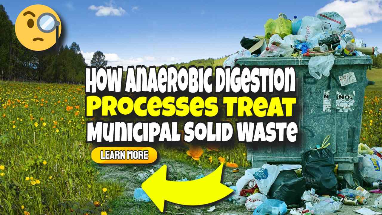 Image text: "How Anaerobic Digestio Processes Treat MSW".