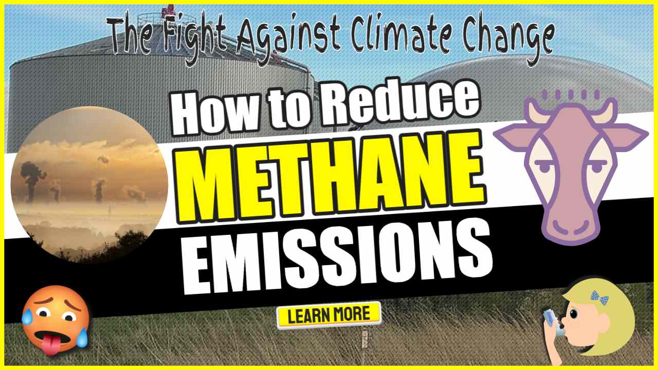 Image text: " How to Reduce Methane Emissions".