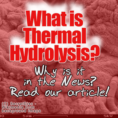 Article explains what is thermal hydrolysis