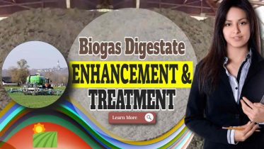 biogas digestate treatment