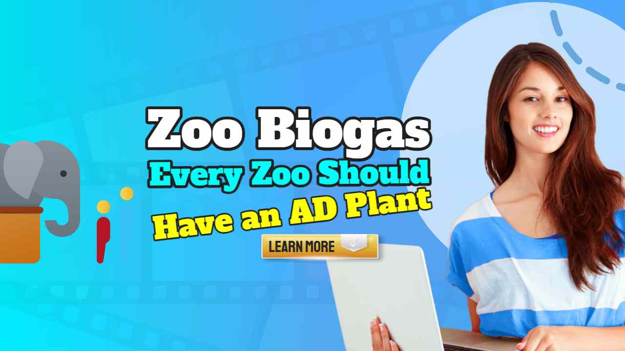 Find out how Zoo Biogas can earn zoos money.