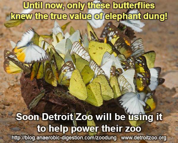 Meme which explains Detroit Zoo biogas from elephant crap