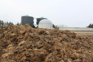 Feedstock storage for anaerobic digestion plants