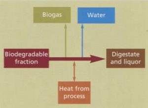 Anaerobic digestion schematic