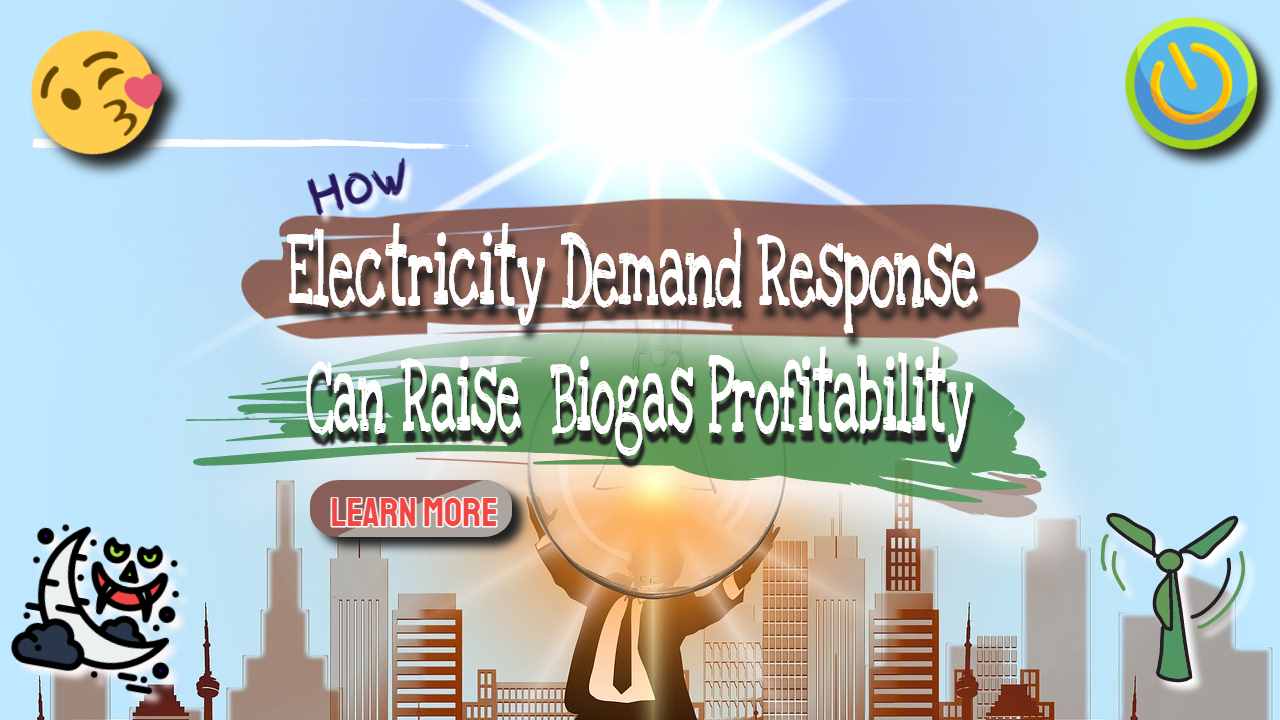 Image text: "Electricity Demand Response explained".