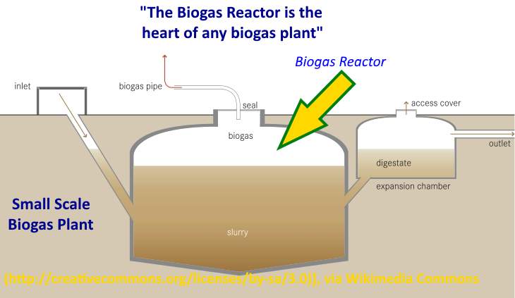 What does biogas mean