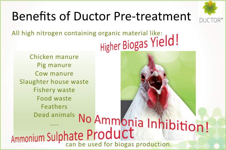 Anaerobic Digestion of Manure: Ductor™ pre-treatment process