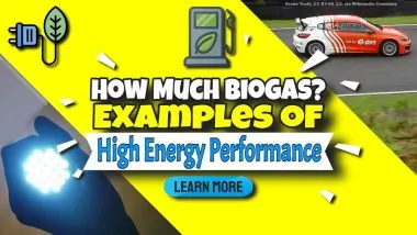 How much biogas?