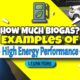 How much biogas?