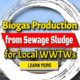 Image text: "Biogas Production from Sewage Sludge".