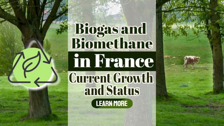 Image text: "Biogas and biomethane in France".