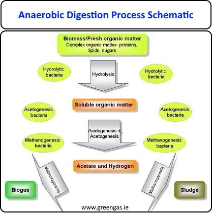 Anaerobic Digestion Process Schematic Diagram