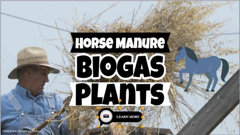 Image text: "Horse Manure Biogas Plants".
