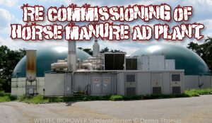 Image shows a graphic to illustrate the horse manure biogas plant.