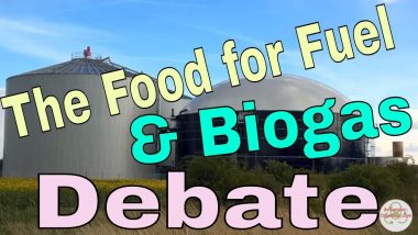 Illustration of growth in Food for Fuel debate article anaerobic digestion and biogas energy.