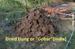 Image shows dried gobar in a pile