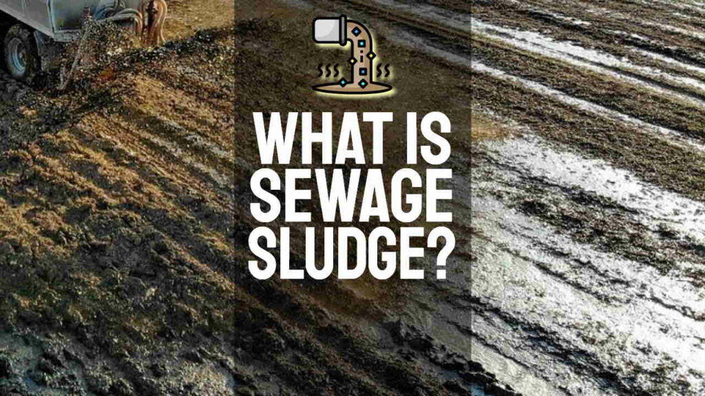 What is Sewage Sludge? Wastewater Treatment Sludge Biosolids