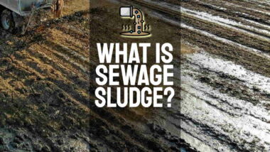 Image has text: "What is sewage sludge".