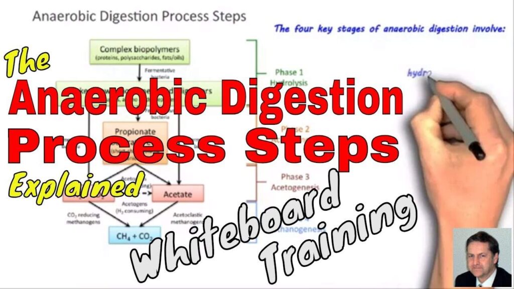 Image is the anaerobic digestion process steps video featured image thumbnail.