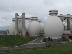 Image shows several egg-shaped digesters.