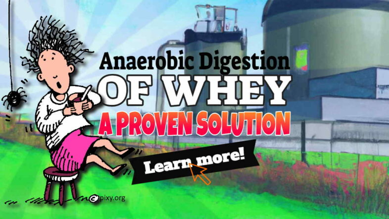 Anaerobic digestion of whey - Featured Image