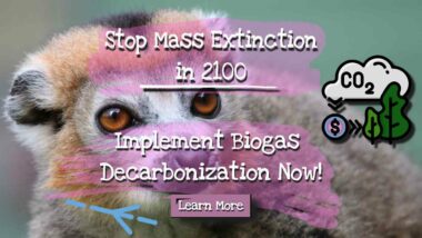 Text on featured image says: "Stop Mass Extinction in 2011 implement biogas decarbonisation now."
