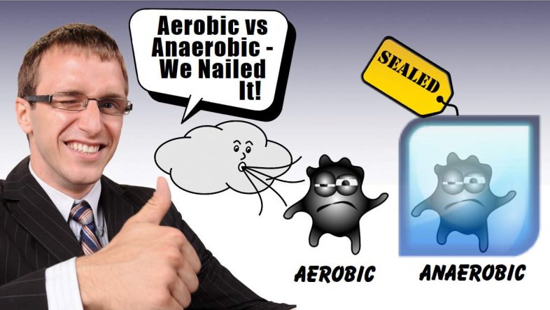 Image is the aerobic digestion and anaerobic digestion article thumbnail.