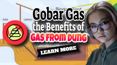 Image has the text: "Gobar Gas the Benefits of Gas from Dung".