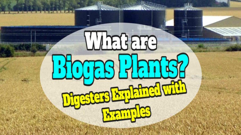What are Biogas Plants?