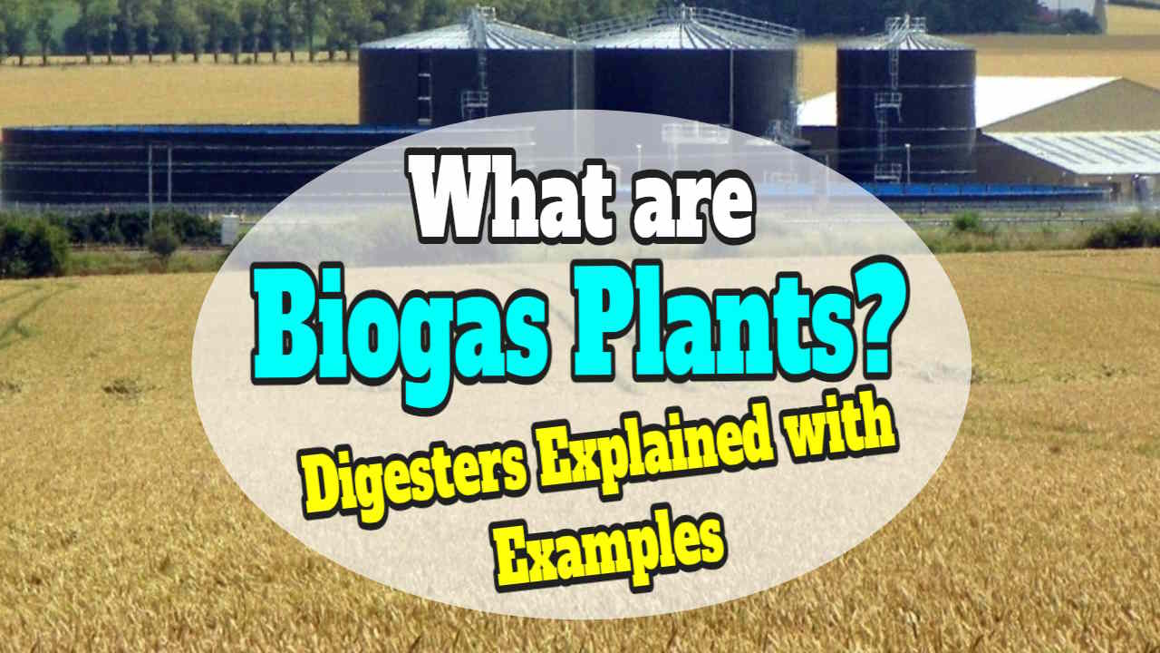 What are Biogas Plants? - Digesters Explained with Examples