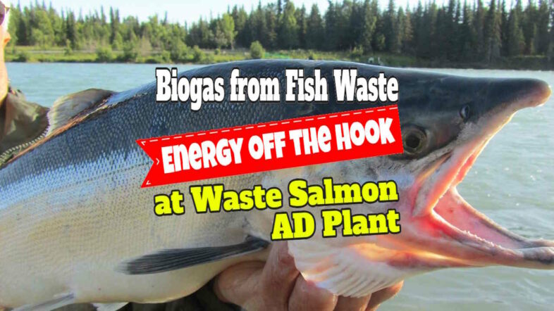 Text in image says: "Biogas from Fish Waste - Energy off the Hook.