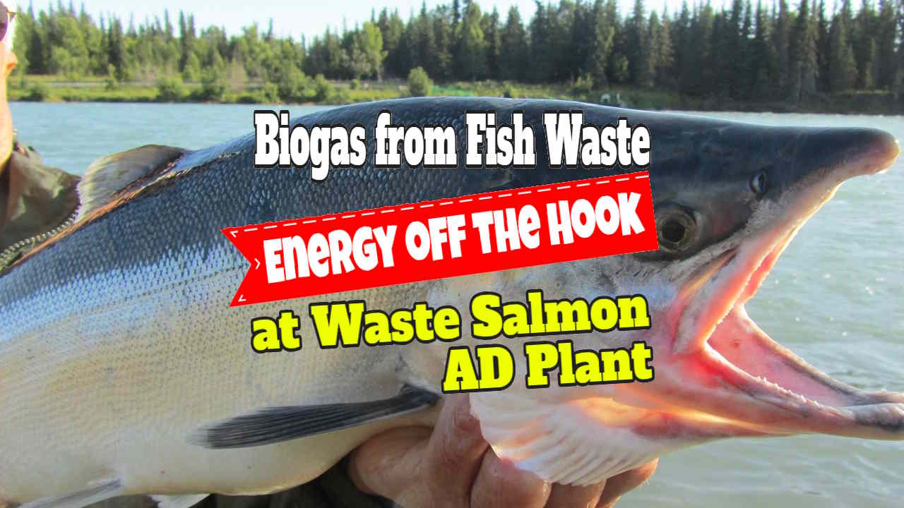 Text in image says: "Biogas from Fish Waste - Energy off the Hook.