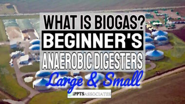 Image with the text: "What is Biogas Beginners AD Large & Small".