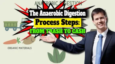 Featured image with the text Anaerobic Digestion Process Steps.