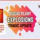 Anaerobic Digester/ Biogas plant explosions tragic update