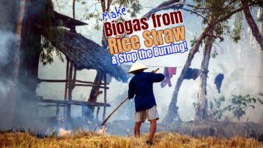 Rice straw and biogas article featured image.