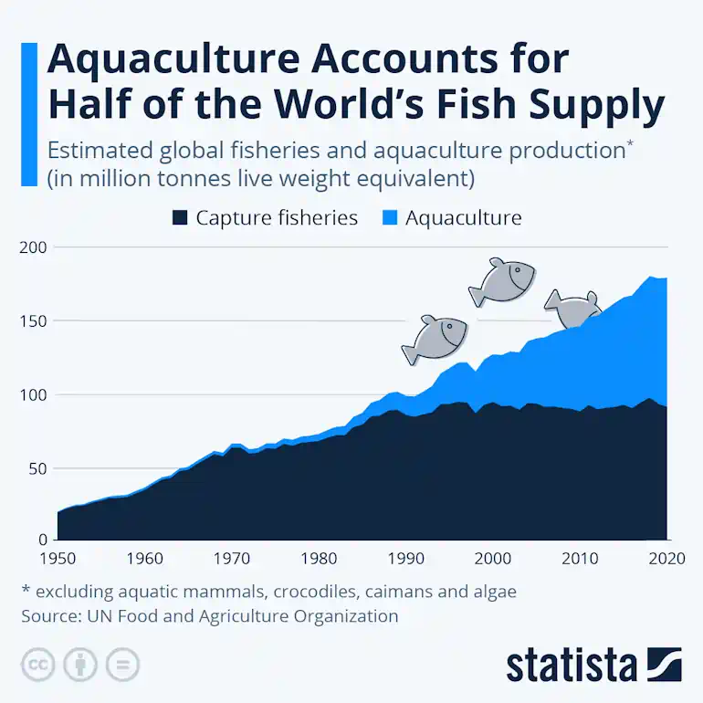 Statista chart showing the growth in importance of aquaculture in the world's fish supply.