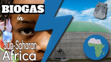 Image text: "Biogas in Africa - particularly Sub-Saharan Africa".