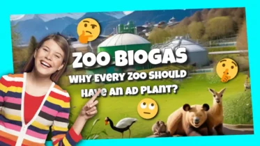 Zoo Biogas thumbnail image.