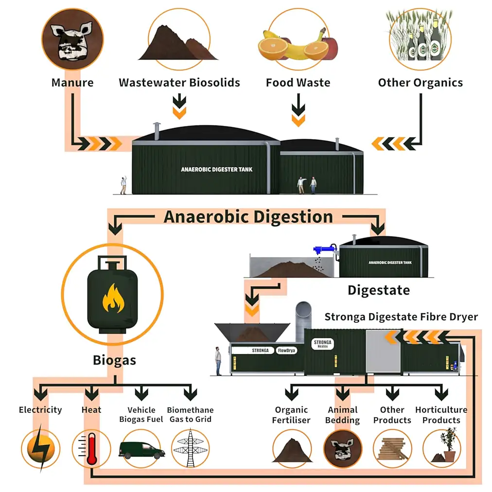 Schematic diagram showing how Drying Digestate can be an essential part of an Anaerobic digestion facility.
