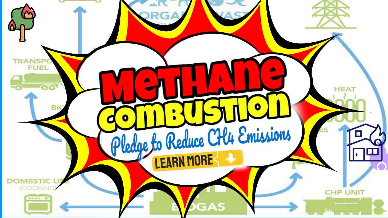 Methane Combustion Pledge to Reduce CH4 Emissions