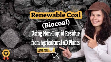 Image text: "Renewable Coal Biocoal made from biogas plant residues".