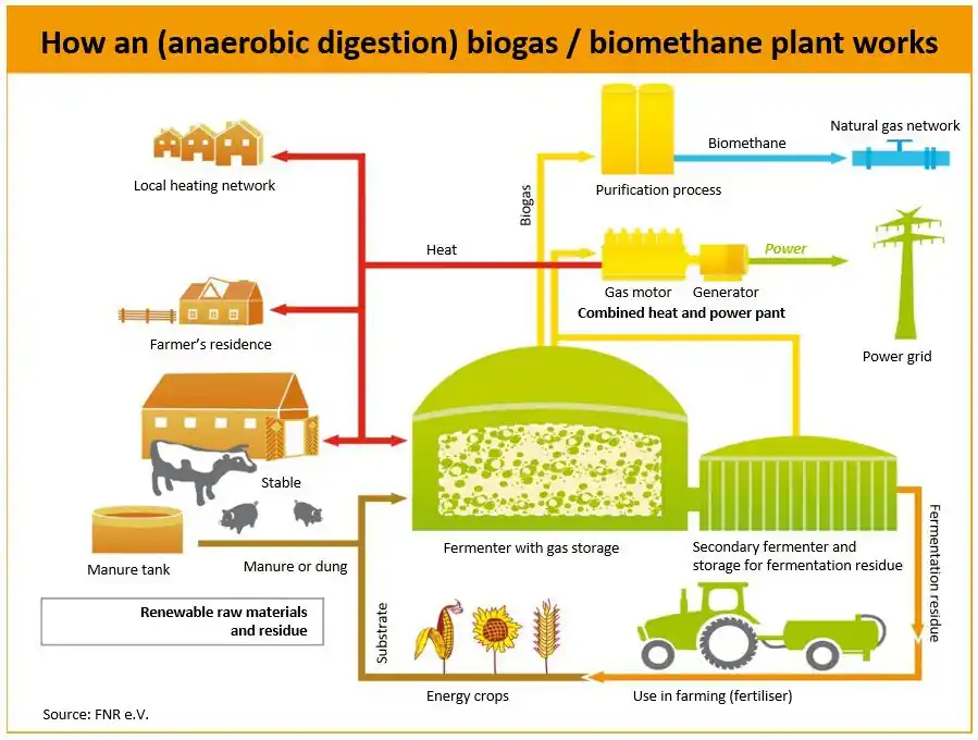 An anaerobic digestion process schematic diagram that includes gas grid injection.