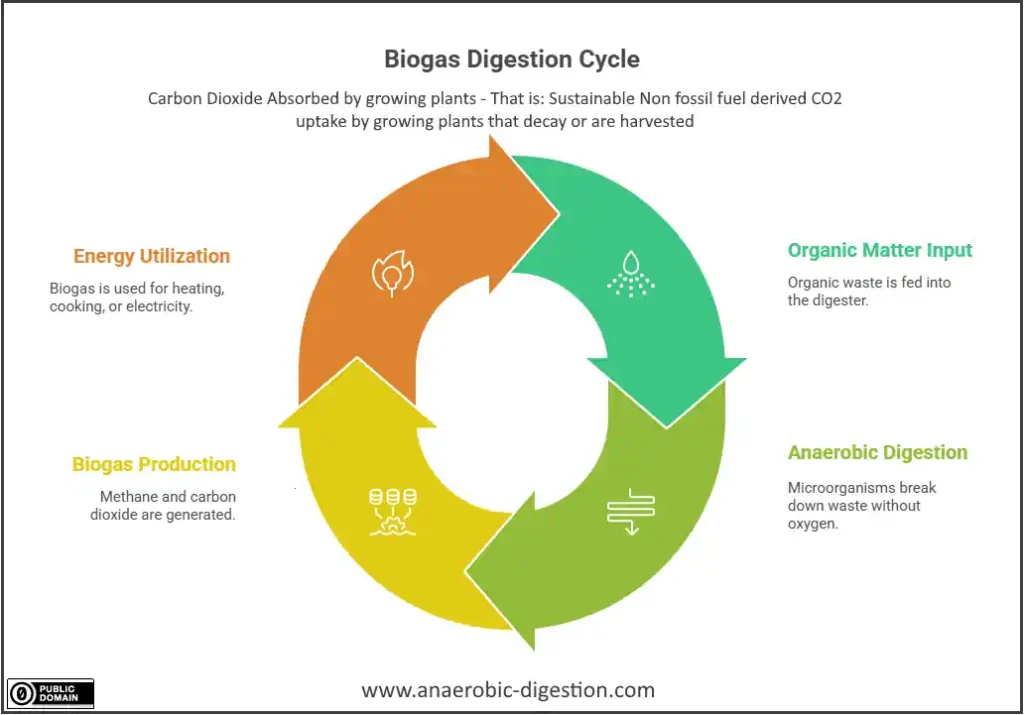 Anaeobic Digestion cycle - infographic