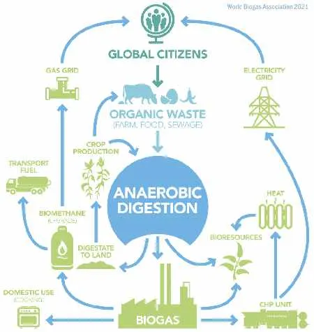 COP26 anaerobic digestion methane flow chart shows how biomethane gas to grid works alongside electricity to grid.