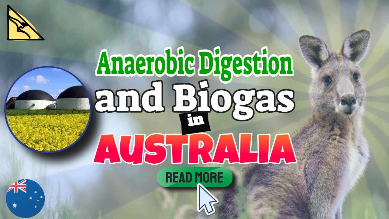 Image text: "Anaerobic Digestion and Biogas in Australia".